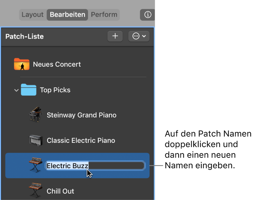Abbildung. Umbenennen eines Patch in der Patch-Liste