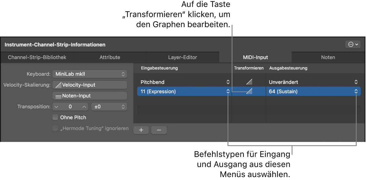 Abbildung. Input- und Output-Befehlstypen in den Channel-Strip-Informationen auswählen