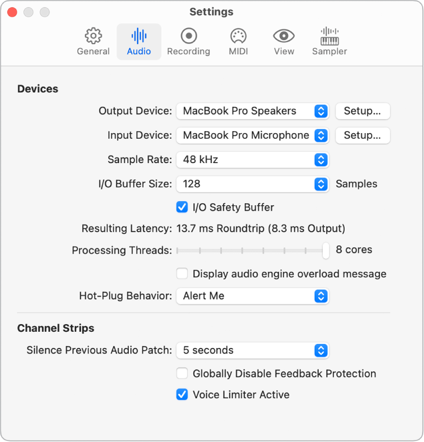 Figure. The Settings Audio pane.