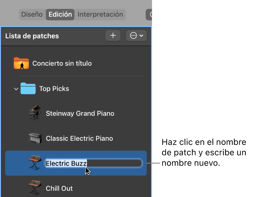 Ilustración. Cambio del nombre de un patch en la lista de patches.