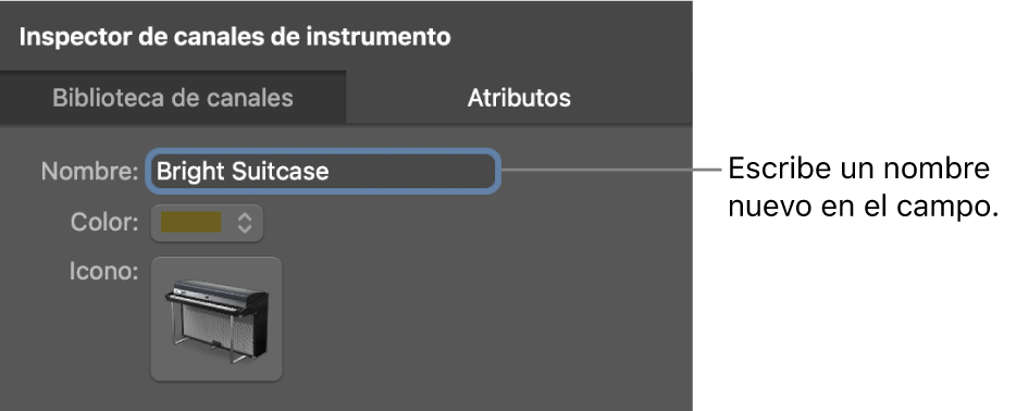 Ilustración. El Inspector de la banda de canal con el campo Nombre.