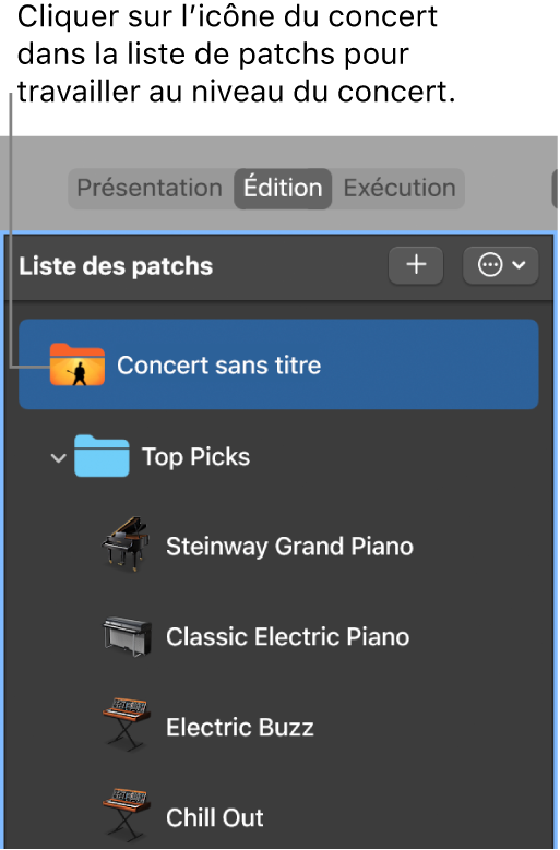 Figure. Sélection de l’icône de concert dans la liste des patchs.