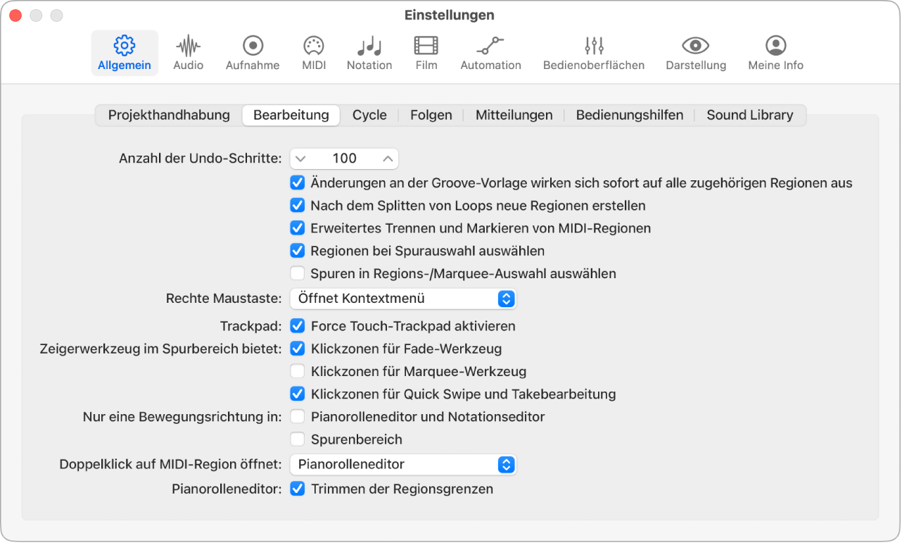 Abbildung. Feld „Anzahl der Undo-Schritte“ im Bereich „Bearbeitung“ in den allgemeinen Einstellungen