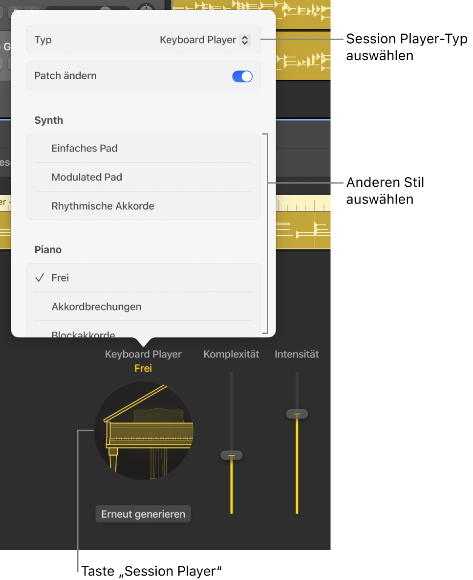 Abbildung. Das geöffnete Session Player-Fenster