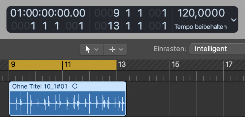 Abbildung. Der Bereich „Spuren“ mit Anzeige des Locator-Bereichs, der etwas kürzer als die Audioregion ist