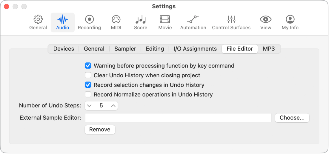 Figure. Audio File Editor settings.