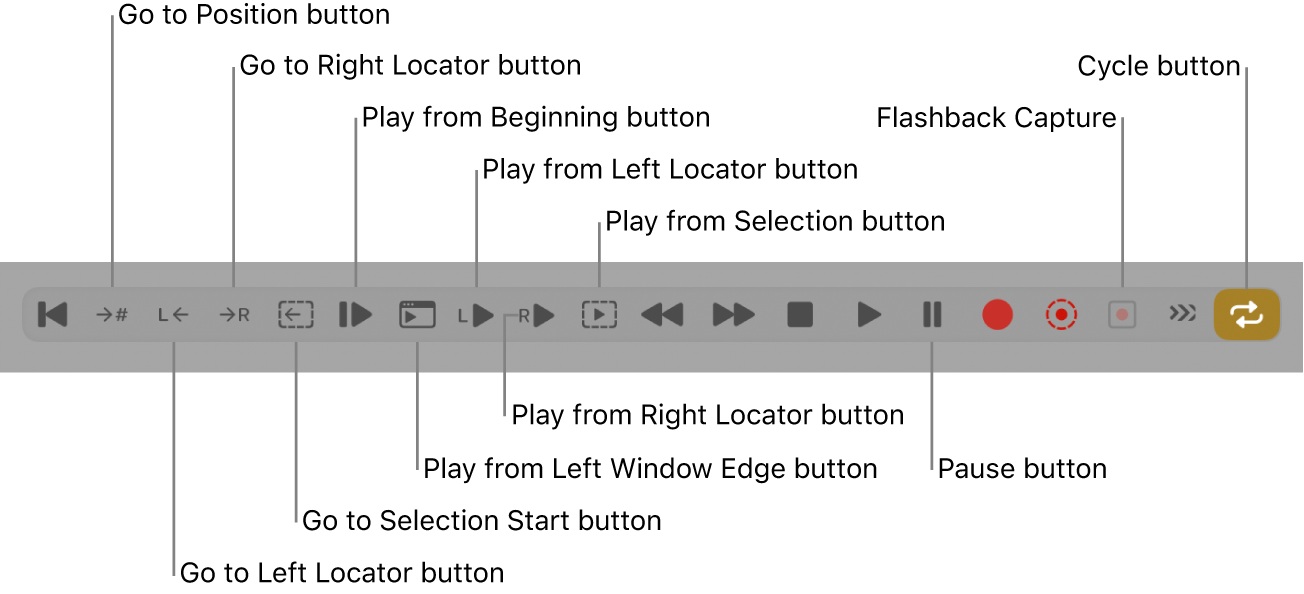 Figure. Transport buttons, showing all additional buttons.