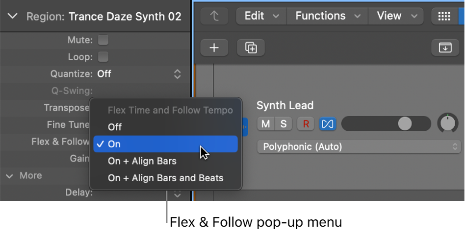 Figure. The Flex & Follow menu in the Region inspector.