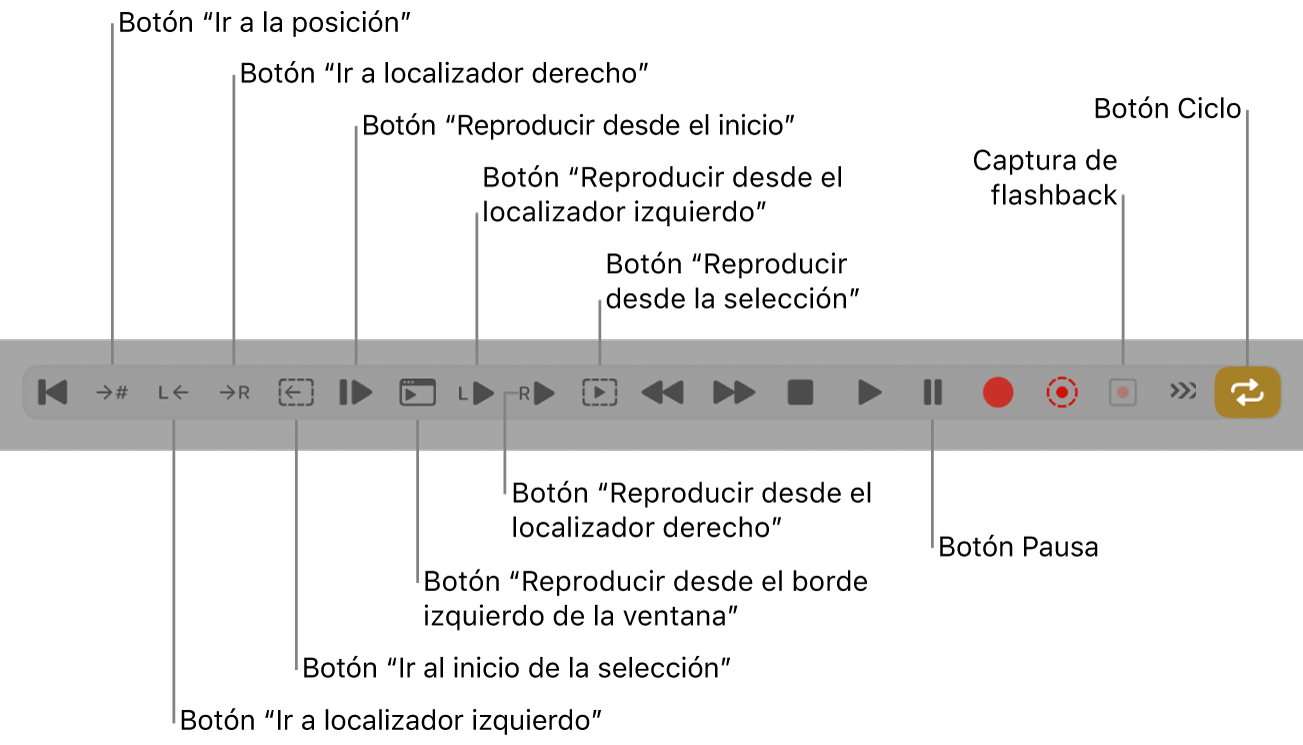 Ilustración. Botones de transporte, incluidos todos los botones adicionales.