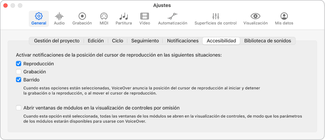 Ilustración. Ajustes de accesibilidad.