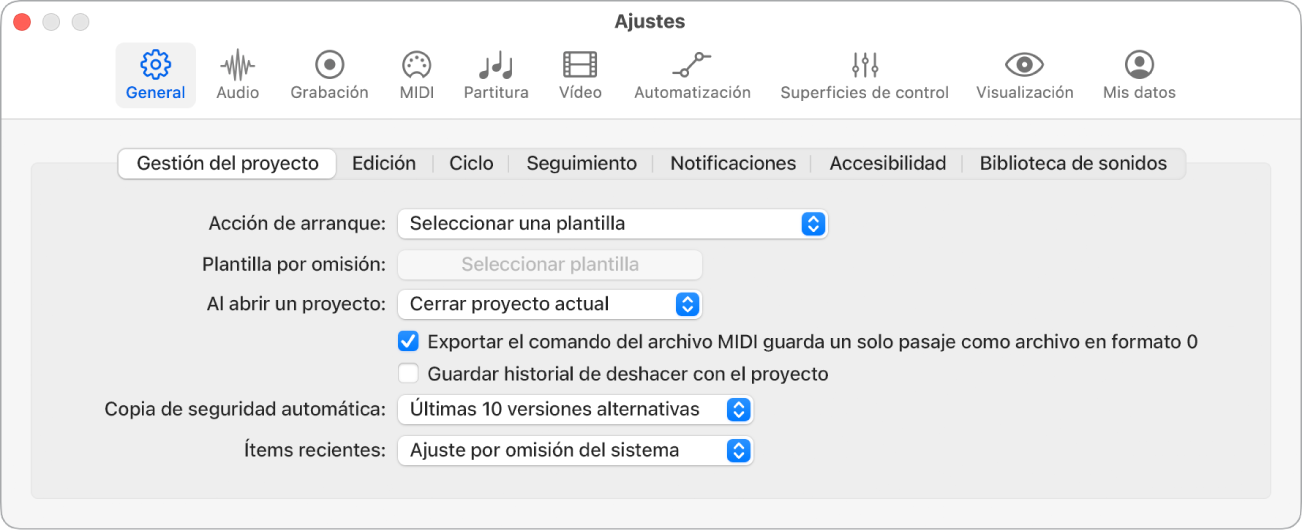 Ilustración. Ajustes generales de “Gestión del proyecto”.