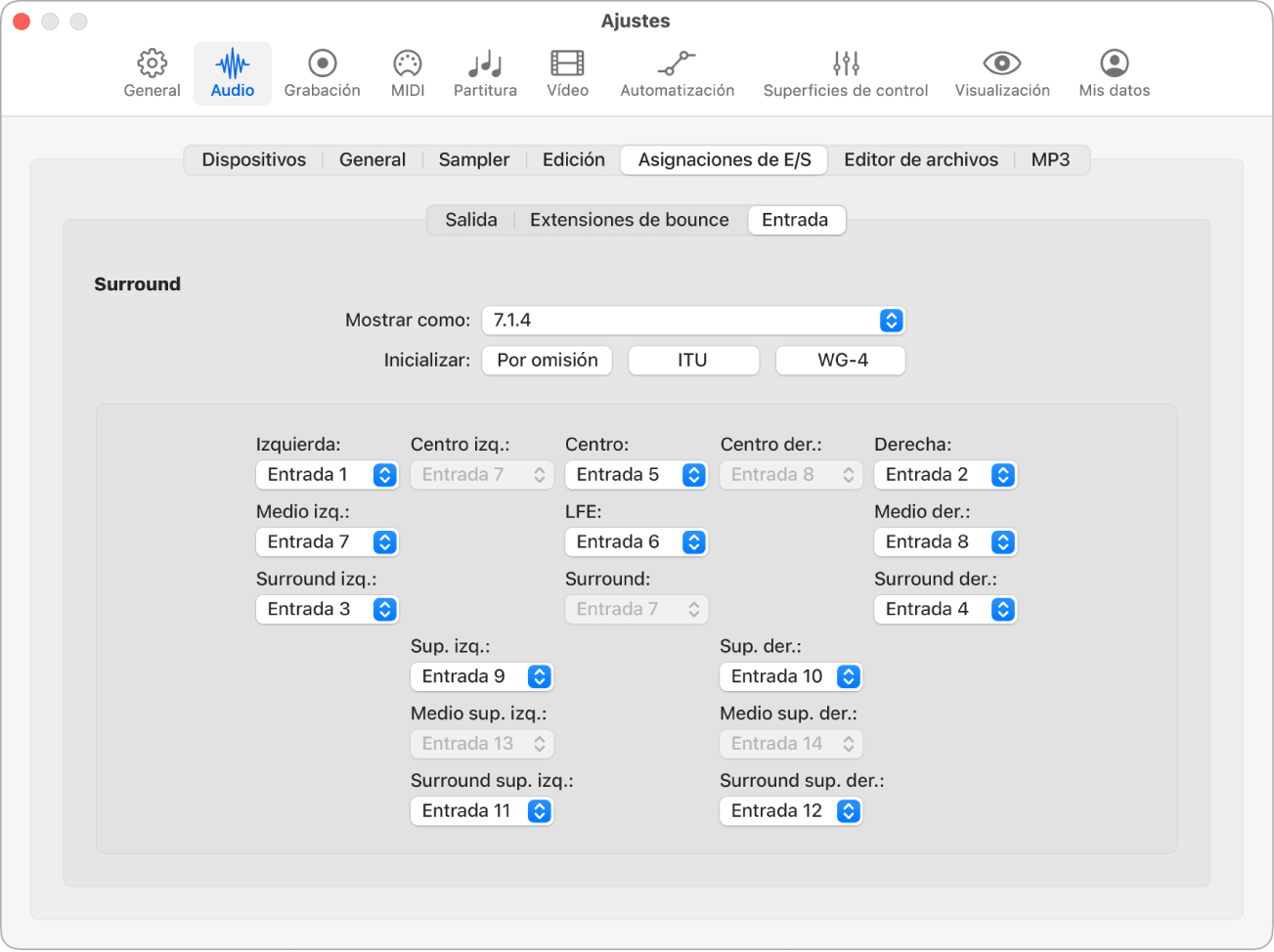 Ilustración. Ajustes de entrada.