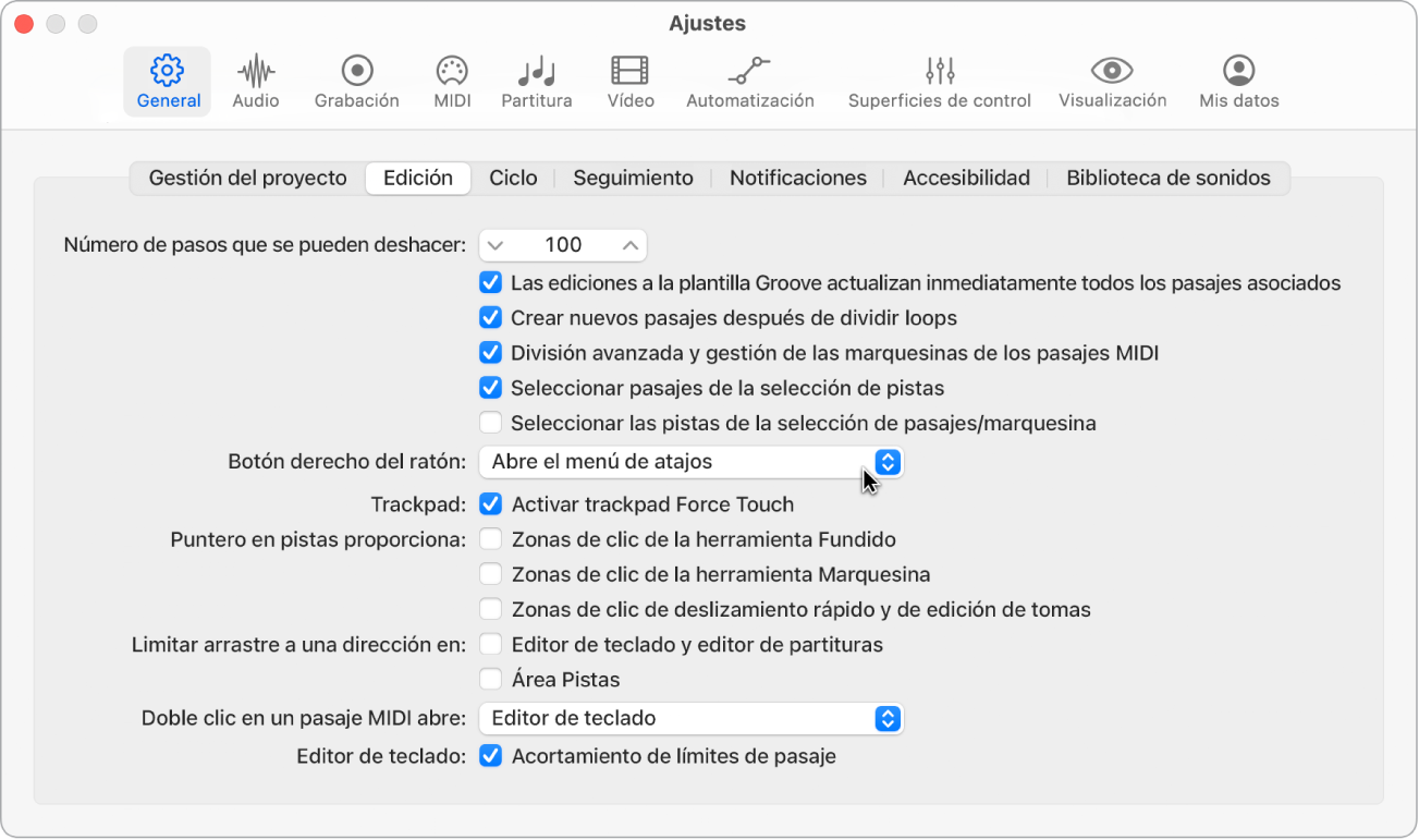 Ilustración. Casillas de la herramienta Puntero en el panel Edición de los ajustes.