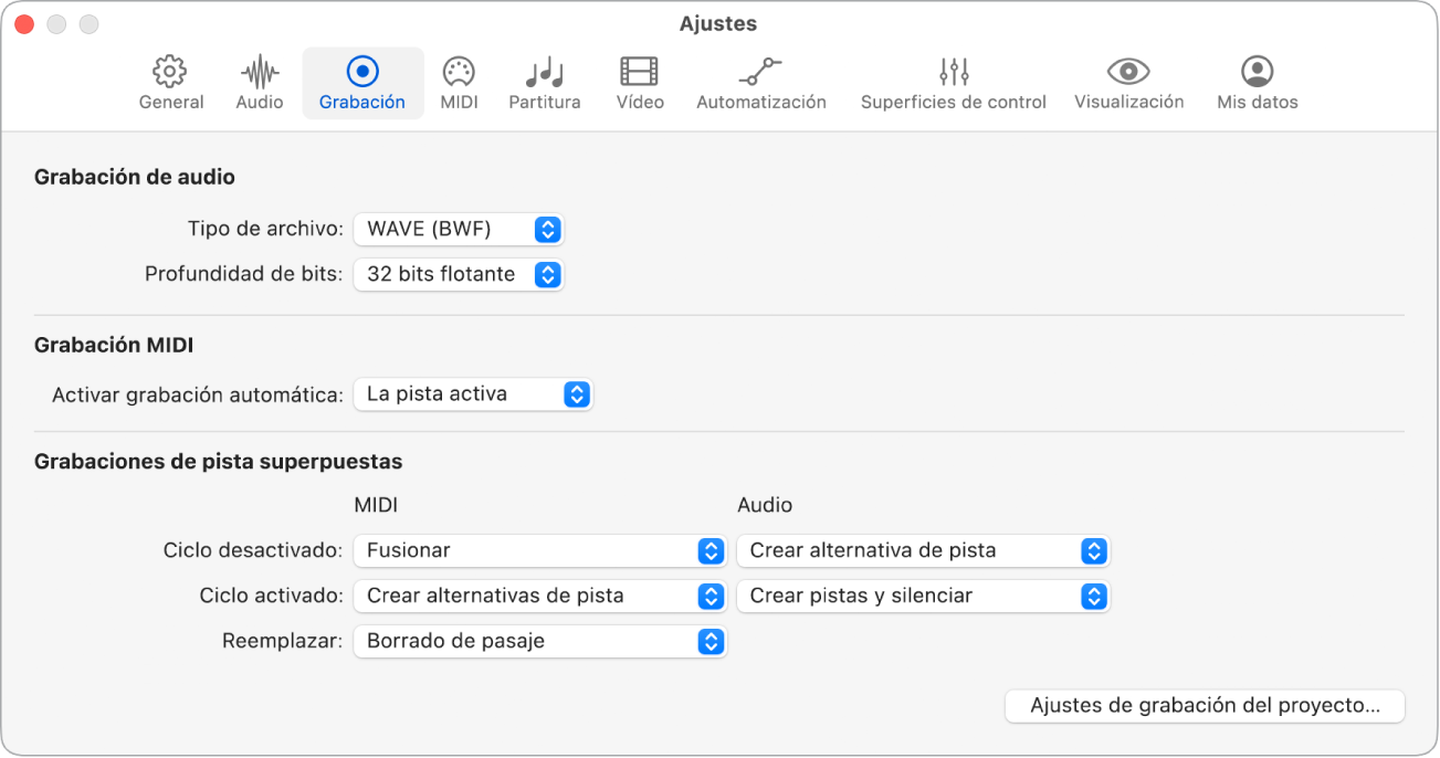Ilustración. Ajustes de grabación.