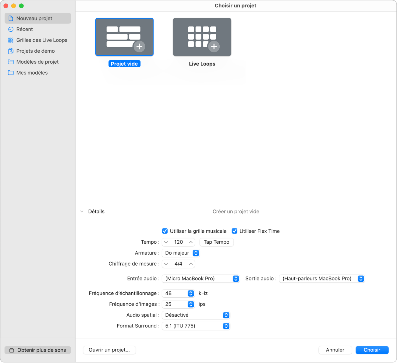 Figure. Détails repris dans la moitié inférieure du sélecteur de projet, pour le réglage des propriétés du projet.