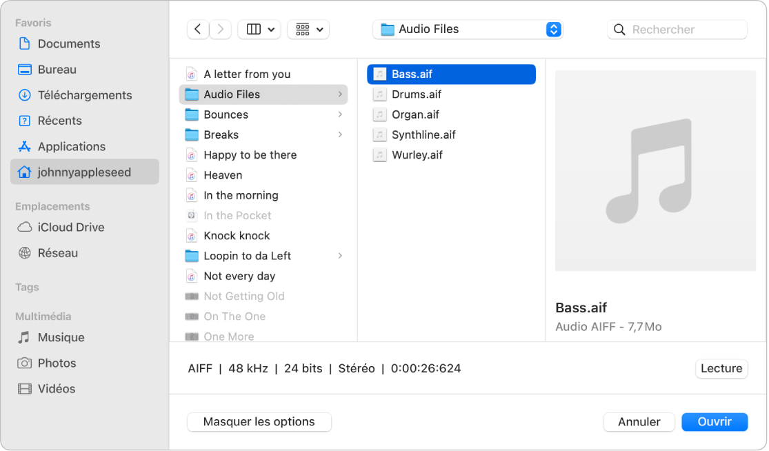 Figure. Zone de dialogue Ouvrir le fichier.