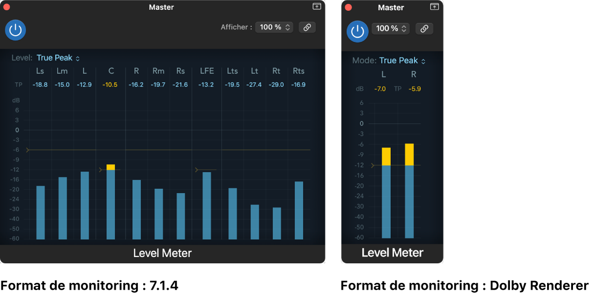 Figure. Affichage du Level Meter pour différents formats de monitoring.