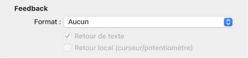 Figure. Paramètres Feedback dans la présentation Expert.