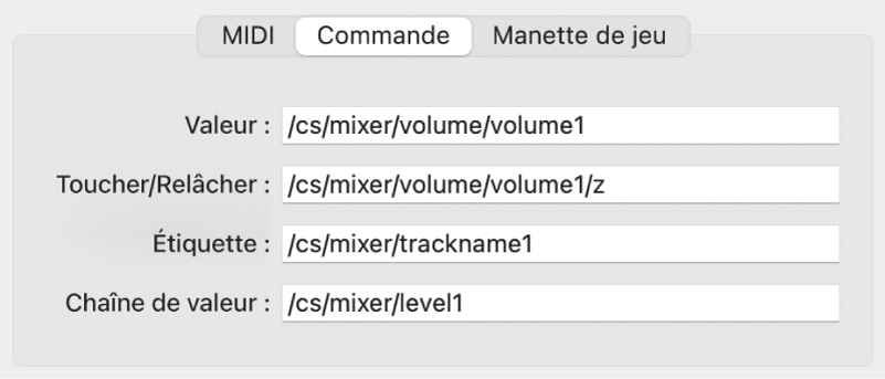 Figure. Paramètres de chemin de message OSC dans la présentation Expert.