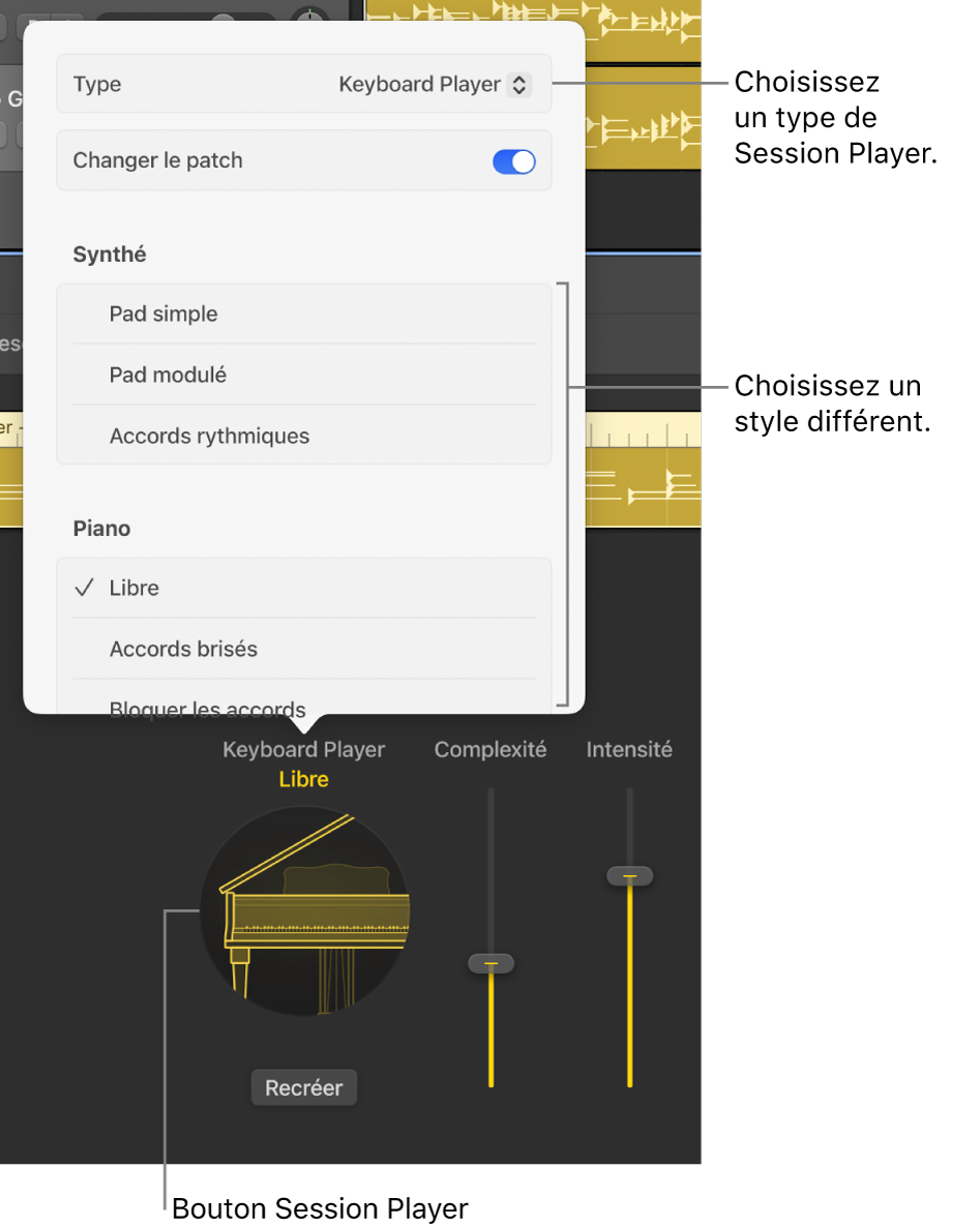 Figure. Zone de dialogue Session Player ouverte.
