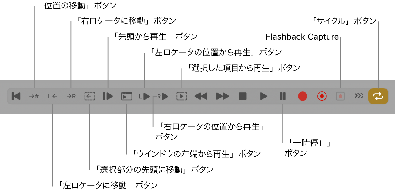 図。トランスポートボタン。すべての追加トランスポートボタンが表示されています。