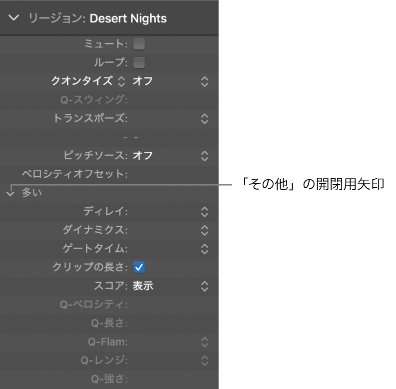 図。詳細パラメータが表示されているリージョンインスペクタ。