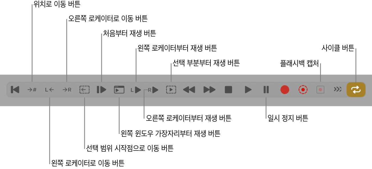 그림. 모든 추가 버튼이 표시된 트랜스포트 버튼.