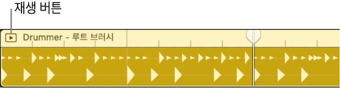 그림. 현재 선택된 Session Player 리전.