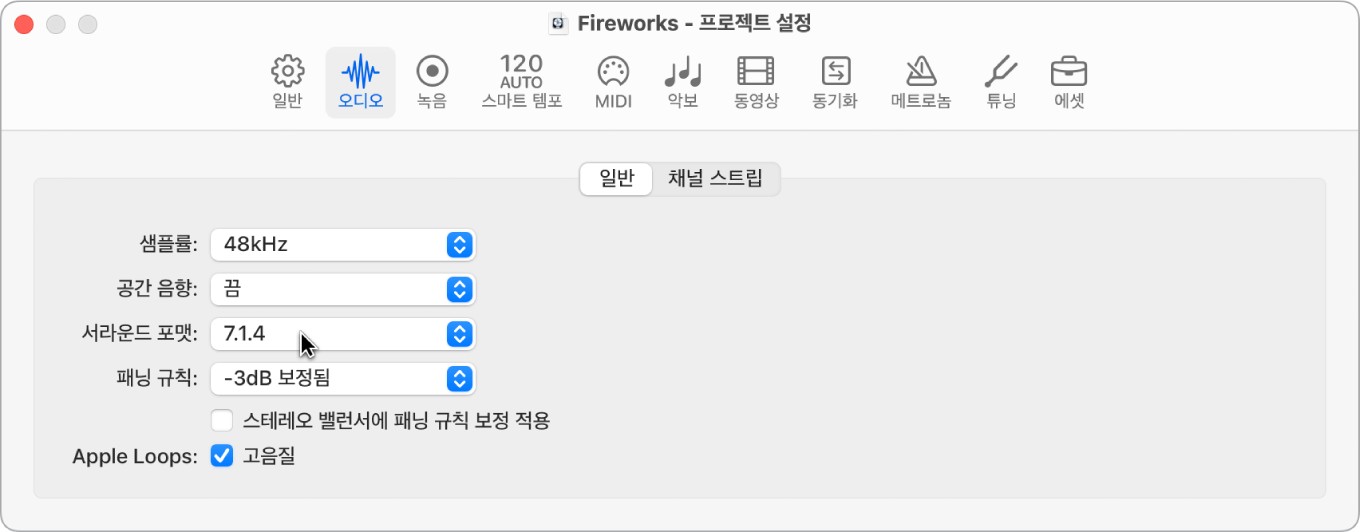 그림. 오디오 프로젝트 설정 패널.