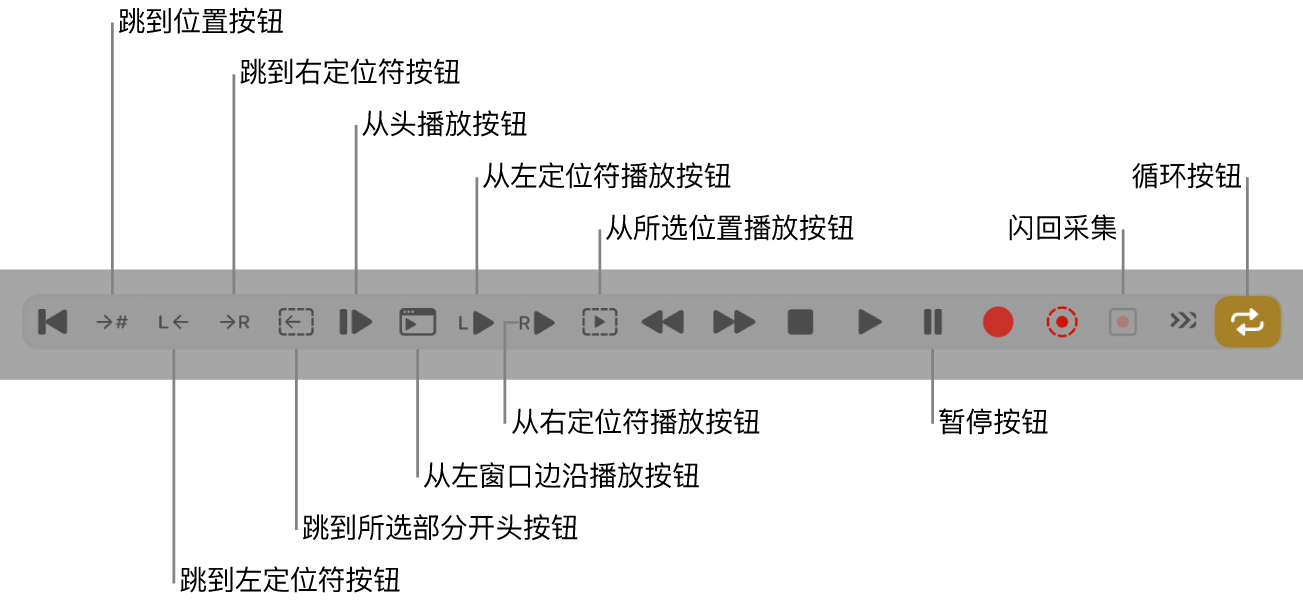 图。显示所有附加按钮的走带控制按钮。