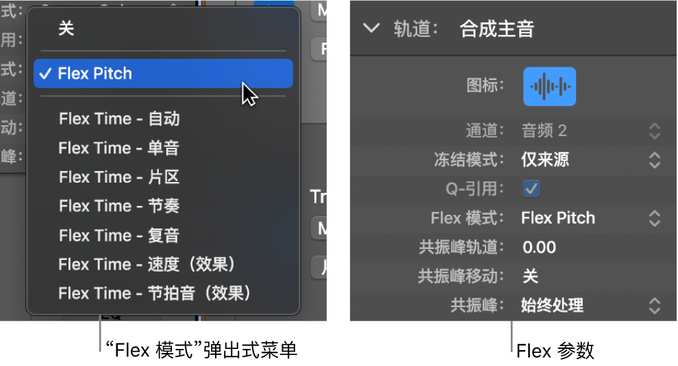 图。显示 Flex 算法和参数的轨道检查器。