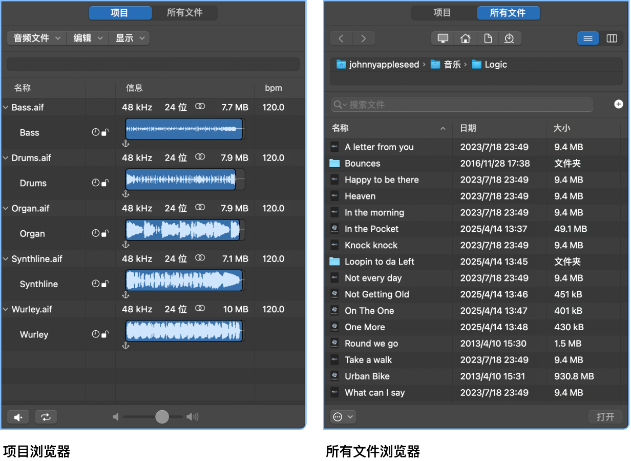 图。项目音频浏览器和所有文件浏览器。