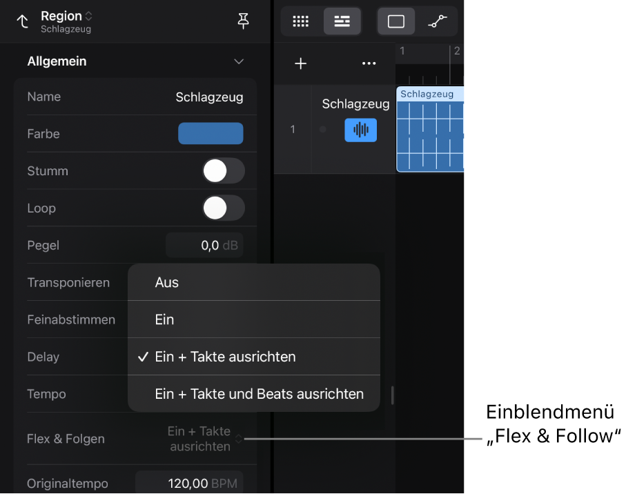 Abbildung. Das Informationsfenster „Region“ zeigt das Einblendmenü „Flex & Folgen“.