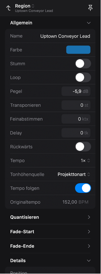 Das geöffnete Informationsfenster mit Regionsparametern.