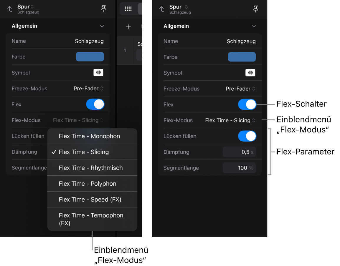 Abbildung. Das Informationsfenster „Spur“ zeigt die Flex-Einstellungen.