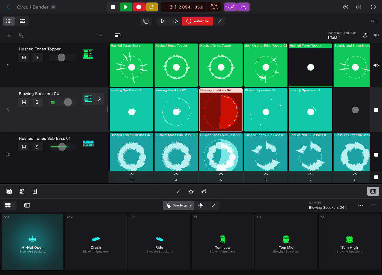 Abbildung. Drum-Pads, die zum Aufnehmen einer Zelle verwendet werden
