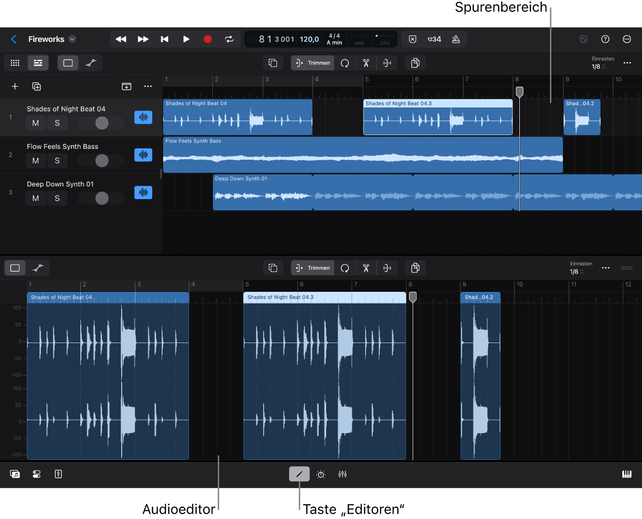 Abbildung. Audioeditor.