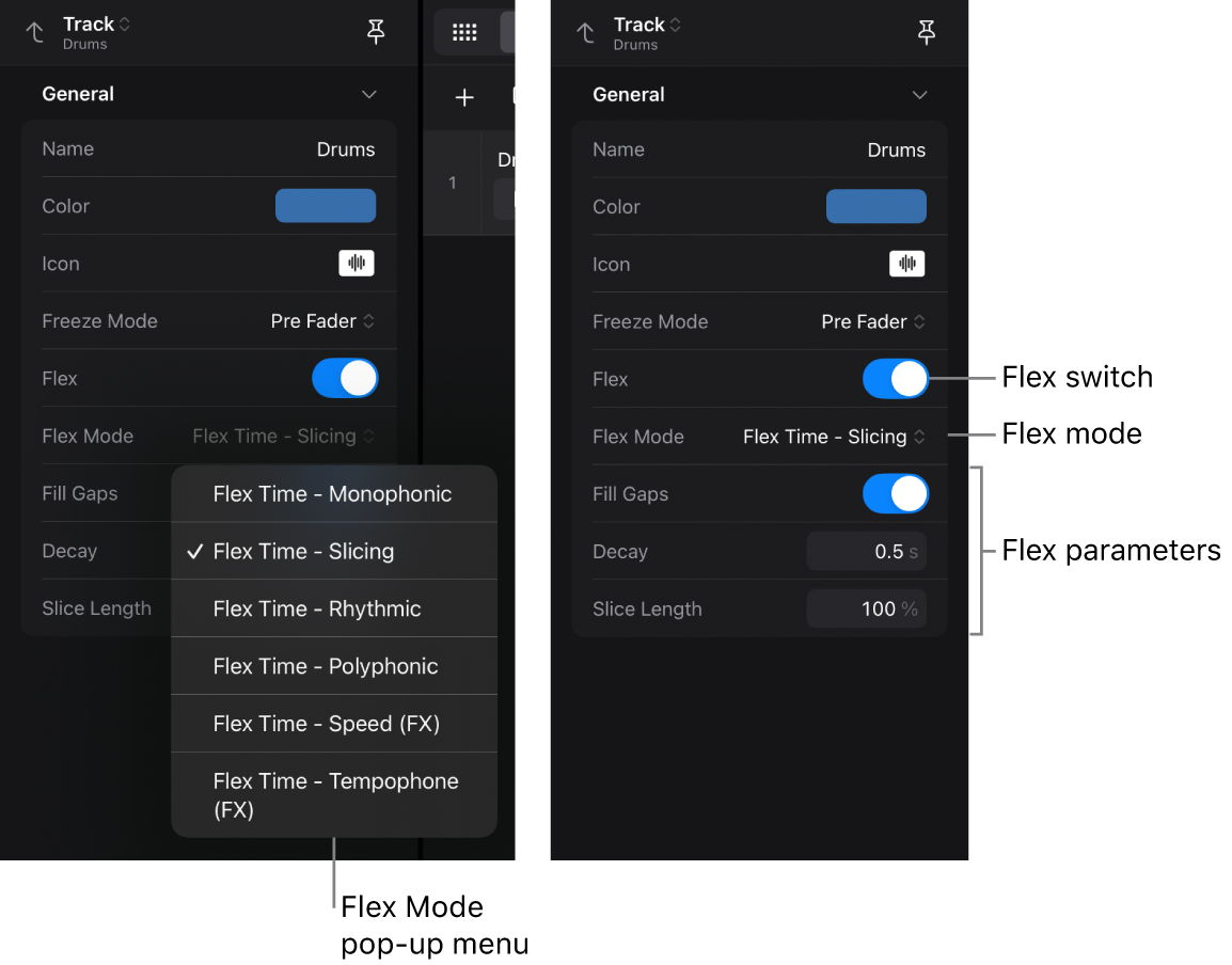 Figure. Track inspector showing the Flex settings.