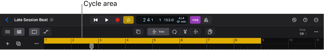 Figure. Top of the Tracks area showing active cycle area, with Cycle button in the control bar.