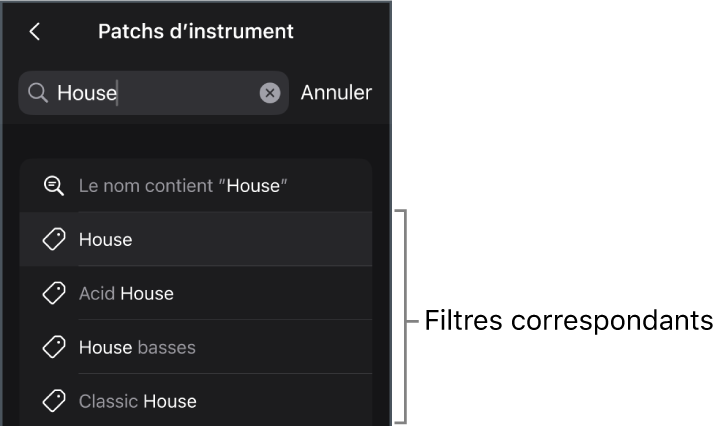 Figure. Résultats de la recherche suggérés pour le mot-clé « Maison » dans la présentation « Patchs d’instrument » du navigateur.