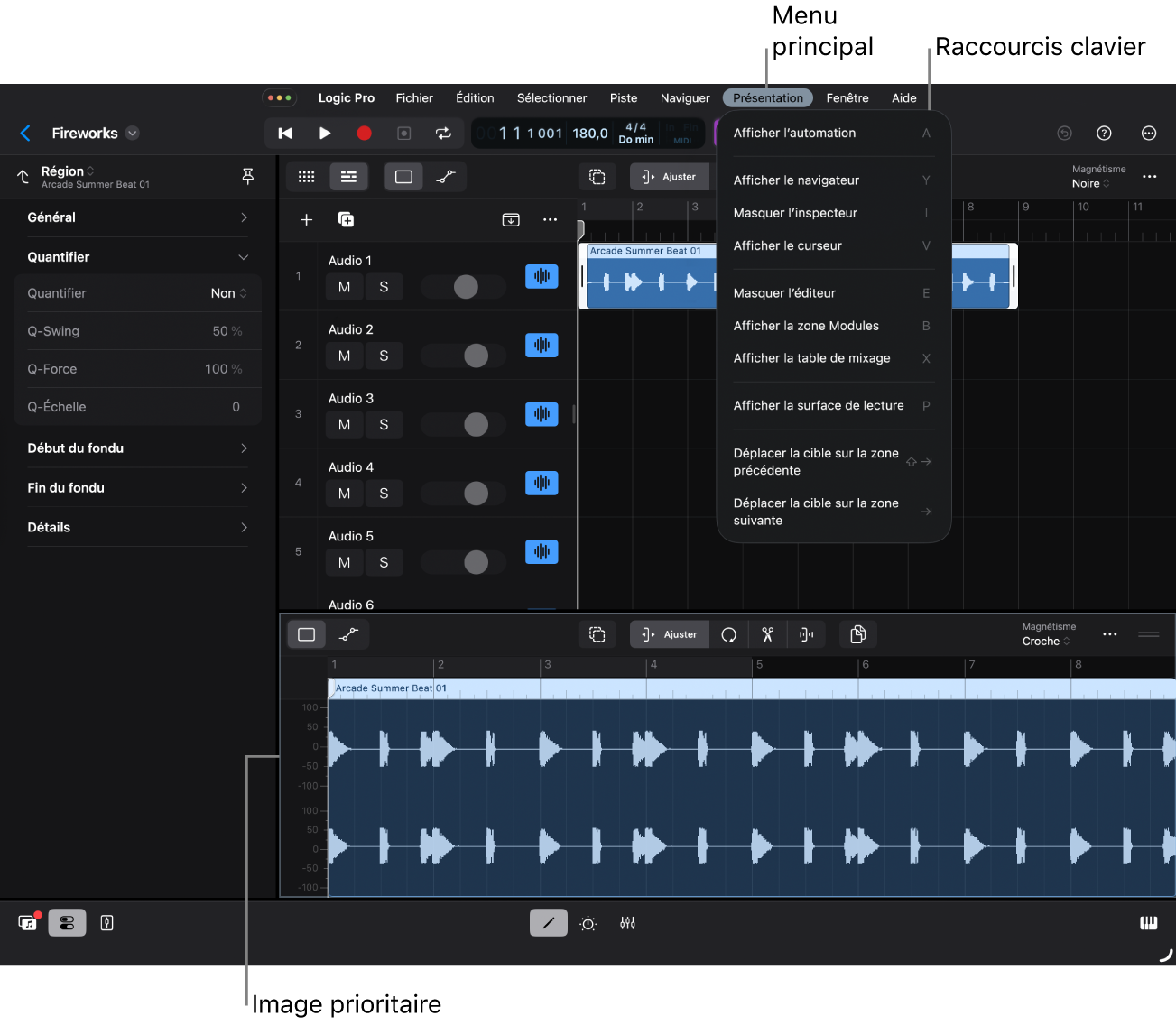 Cadre de zone sélectionnée.