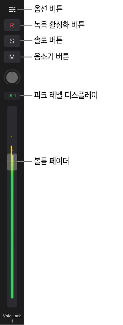 그림. 옵션 버튼, 녹음 활성화, 솔로 및 음소거 버튼, 패닝/밸런스 노브 및 레벨 측정기가 표시된 페이더.