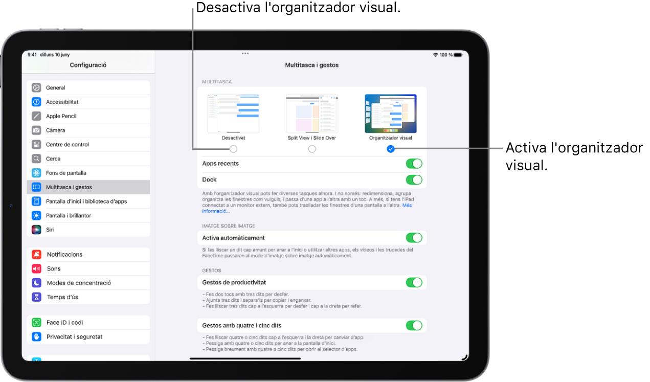 La pantalla de configuració per activar o desactivar l’organitzador visual.