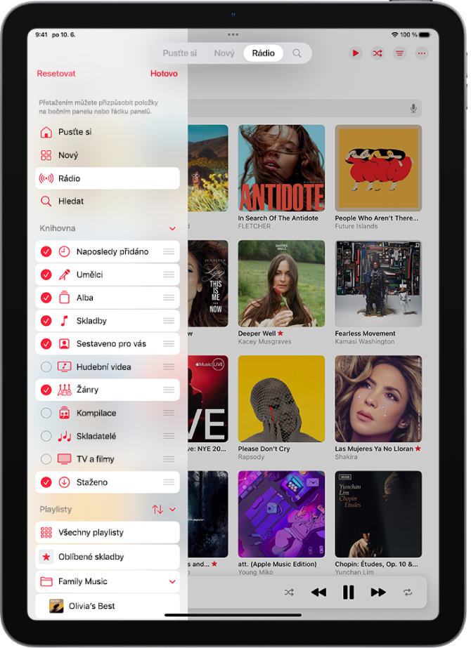 iPad otočený na výšku s volbami pro úpravy bočního panelu na levé straně a řádku panelů u horního okraje displeje