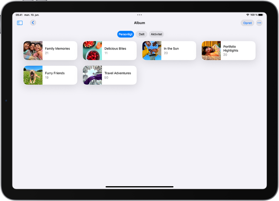Appen Fotos er åben med Album. Personligt er valgt. Resten af skærmen på iPad viser miniaturer for album i et net.
