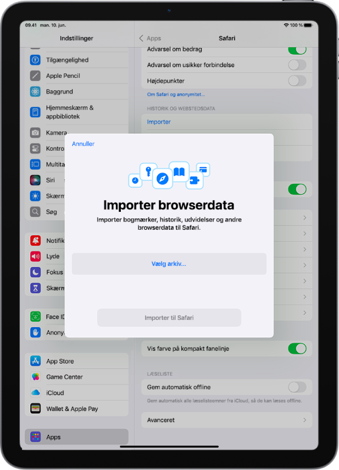 Skærmen Importer browserdata, som viser data fra en anden browser, der skal importeres til Safari.