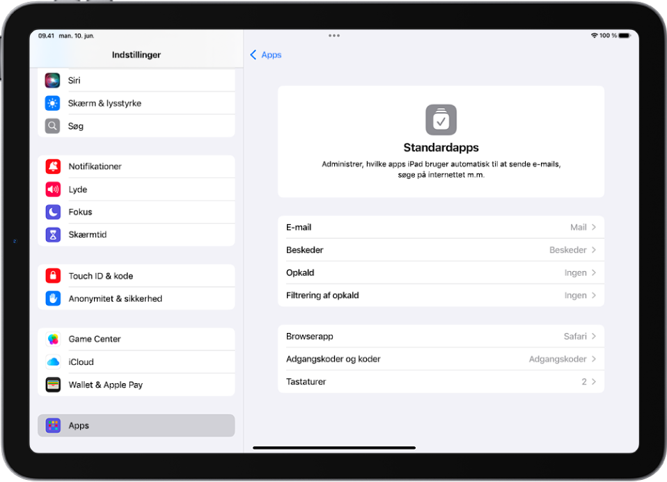 Skærmen, hvor du ændrer standardapps til e-mail, søgning på internettet m.m.