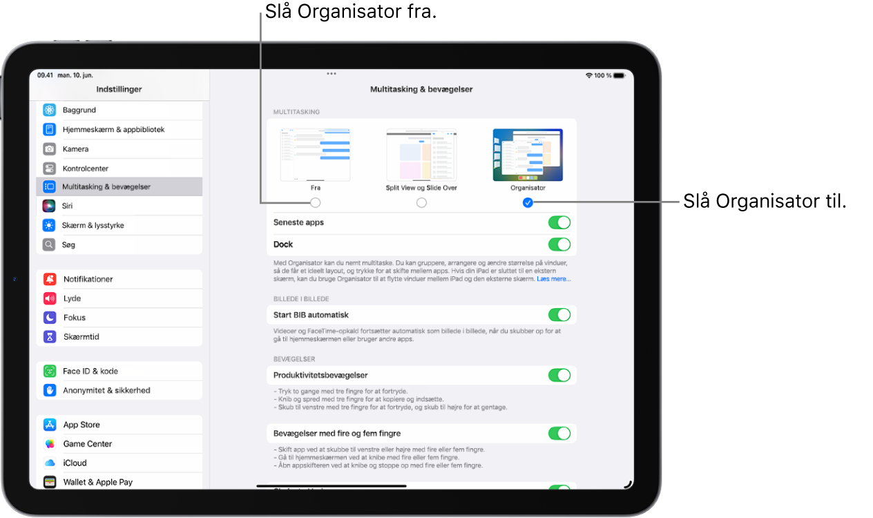 Skærmen Indstillinger, hvor du kan slå Organisator til eller fra.
