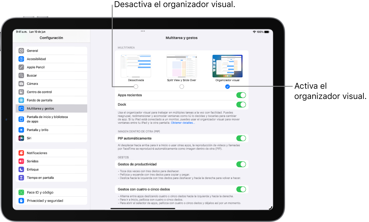 La pantalla de Configuración para activar o desactivar el organizador visual.