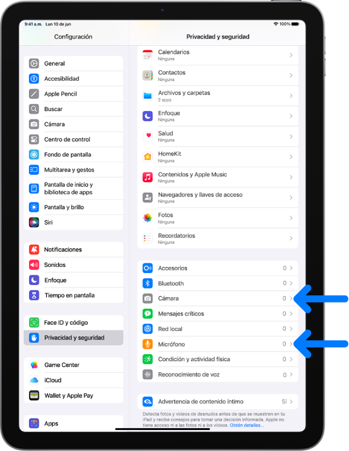 La pantalla Privacidad y seguridad, con la configuración para controlar si las apps pueden usar la cámara, el micrófono y otros componentes de tu iPad.